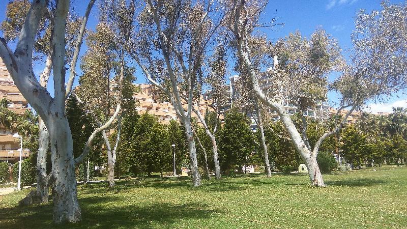 Ferienwohnung Acv - Costa Marina I-1ª Linea Planta 2 Sur Oropesa del Mar Exterior foto